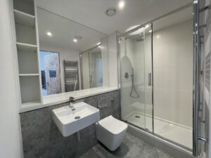 Grey bathroom with a walk-in shower, a wall-hung toilet, a basin and a mirror cabinet.